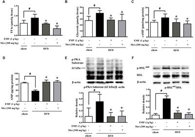 Er-Miao-Fang Extracts Inhibits Adipose Lipolysis and Reduces Hepatic Gluconeogenesis via Suppression of Inflammation
